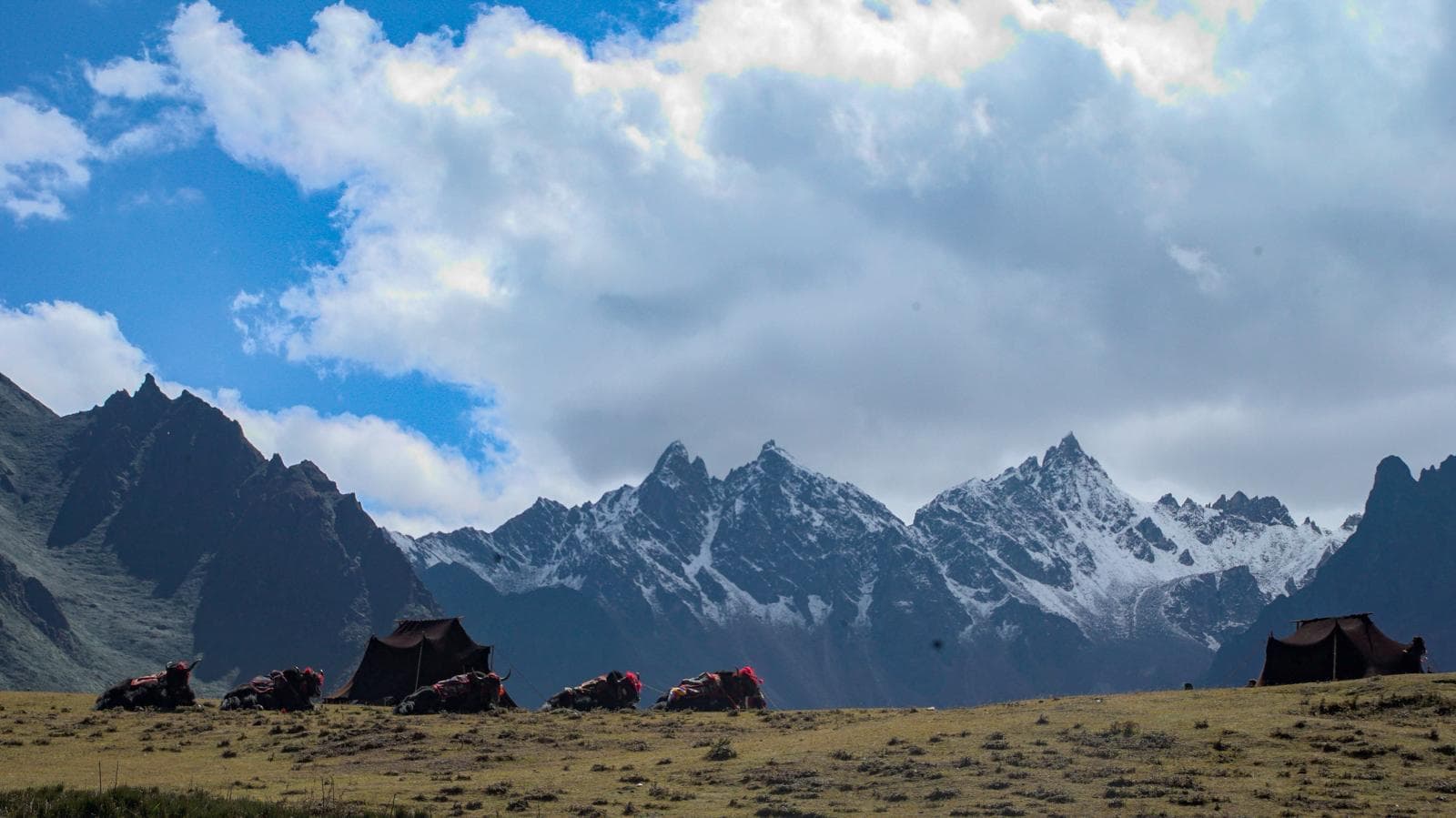 Hikers on the warm-up trail to Zuri Dzong above the Paro valley